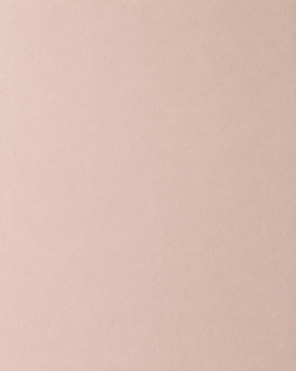 Antico Veneziano, dettaglio della finitura opaca su parete