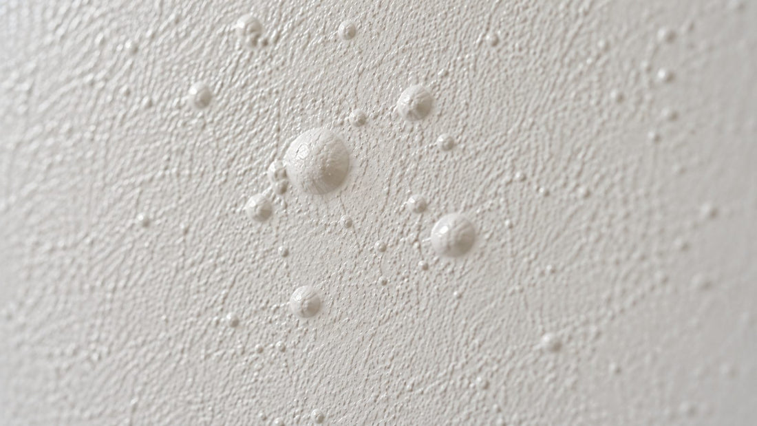 Bolle tonde alzate nella pittura appena stesa su una parete bianca