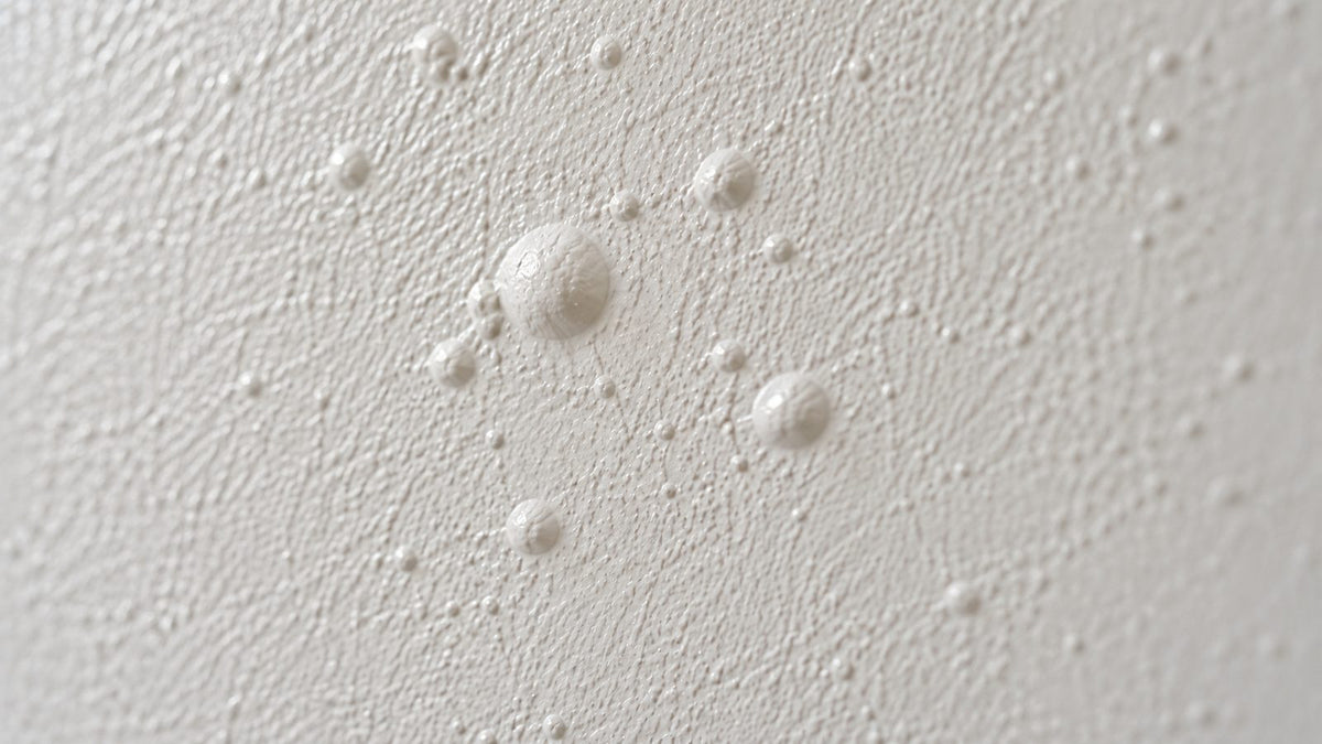 Bolle tonde alzate nella pittura appena stesa su una parete bianca