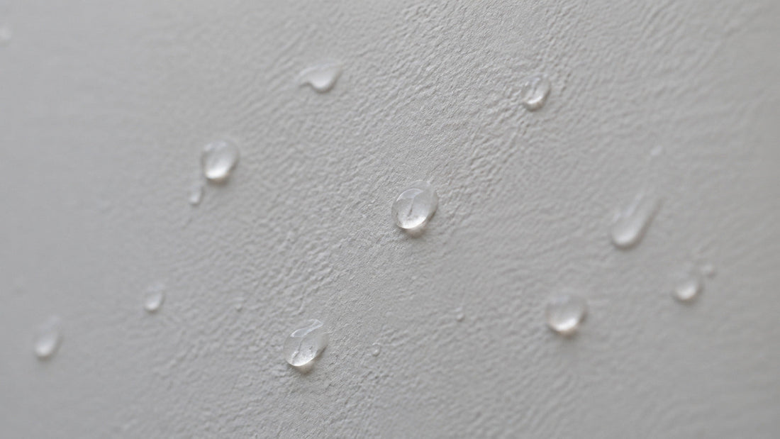 Gocce d'acqua che restano in superficie su una parete tinteggiata opaca