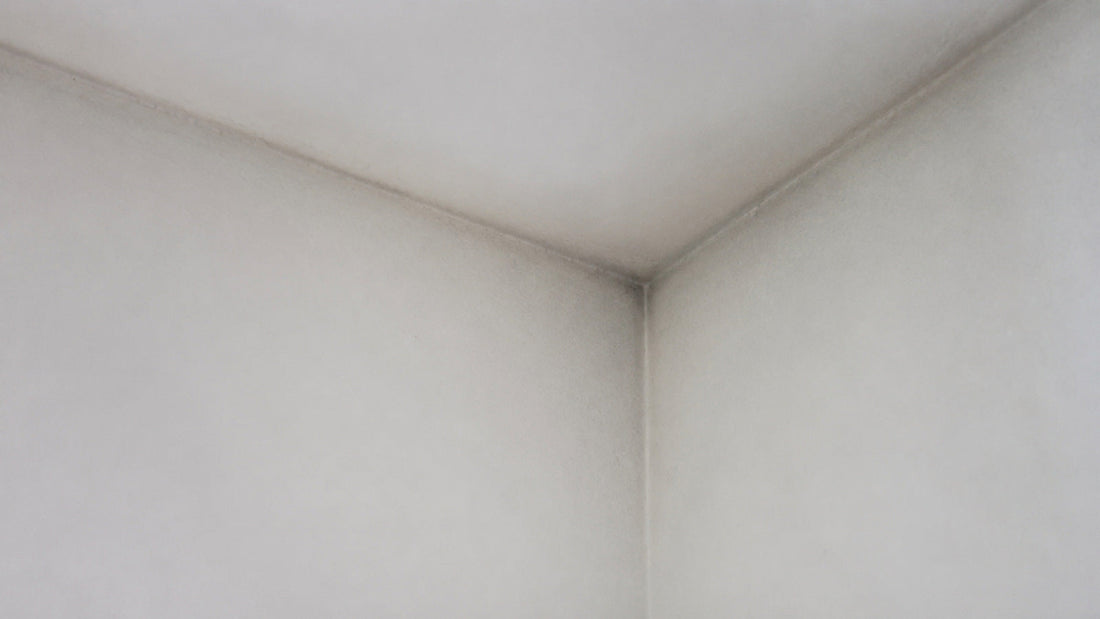 Angolo alto tra parete e soffitto con segni di ingrigimento da smog accumulato