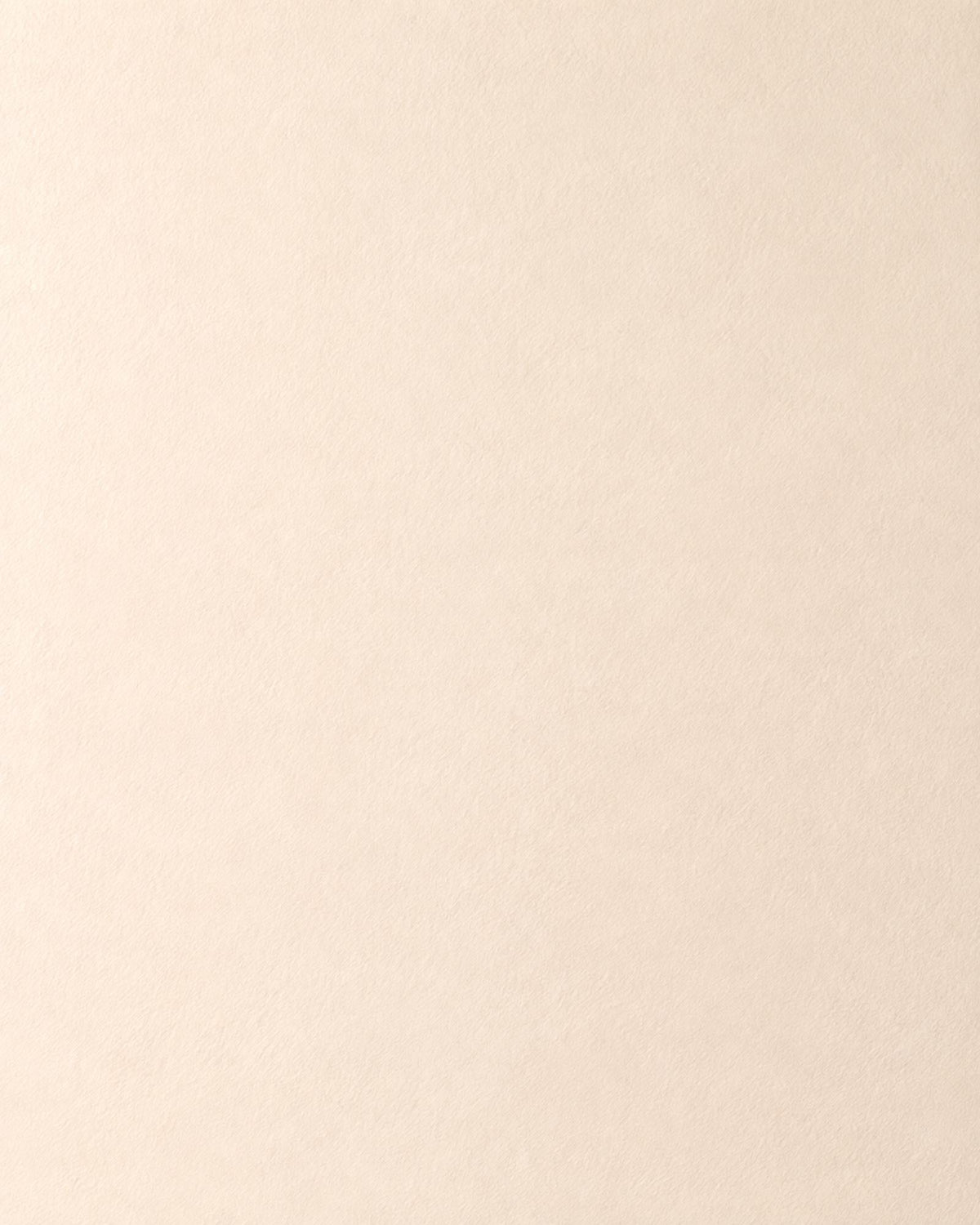 Latte di Mandorla, dettaglio della finitura opaca su parete